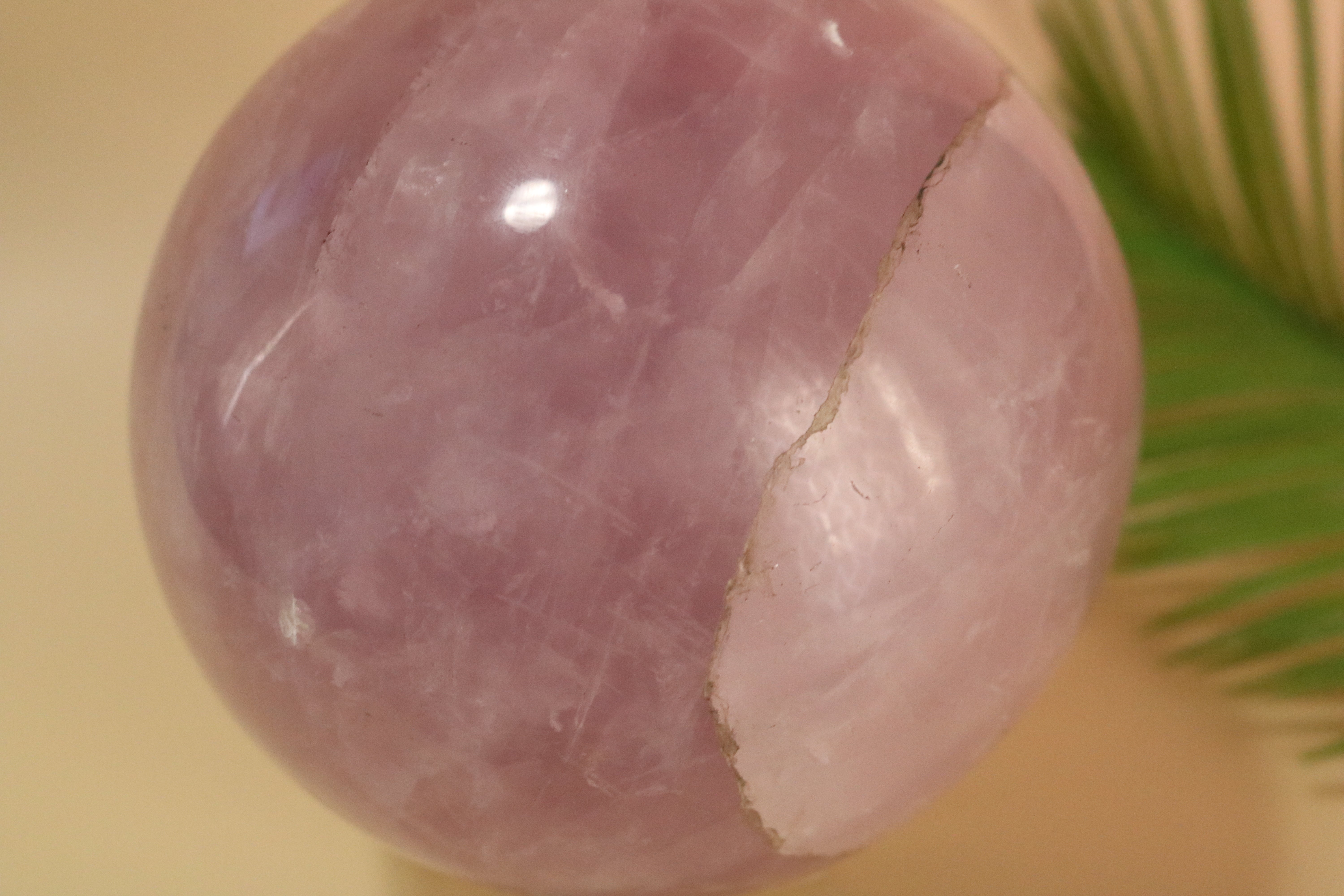 Rose Quartz – Jesi Lee