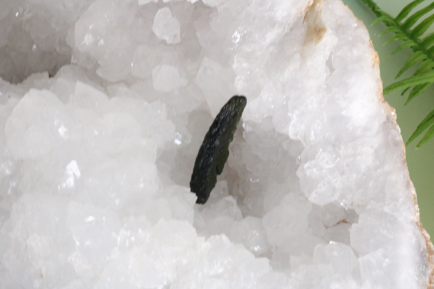 MOLDAVITE MOON