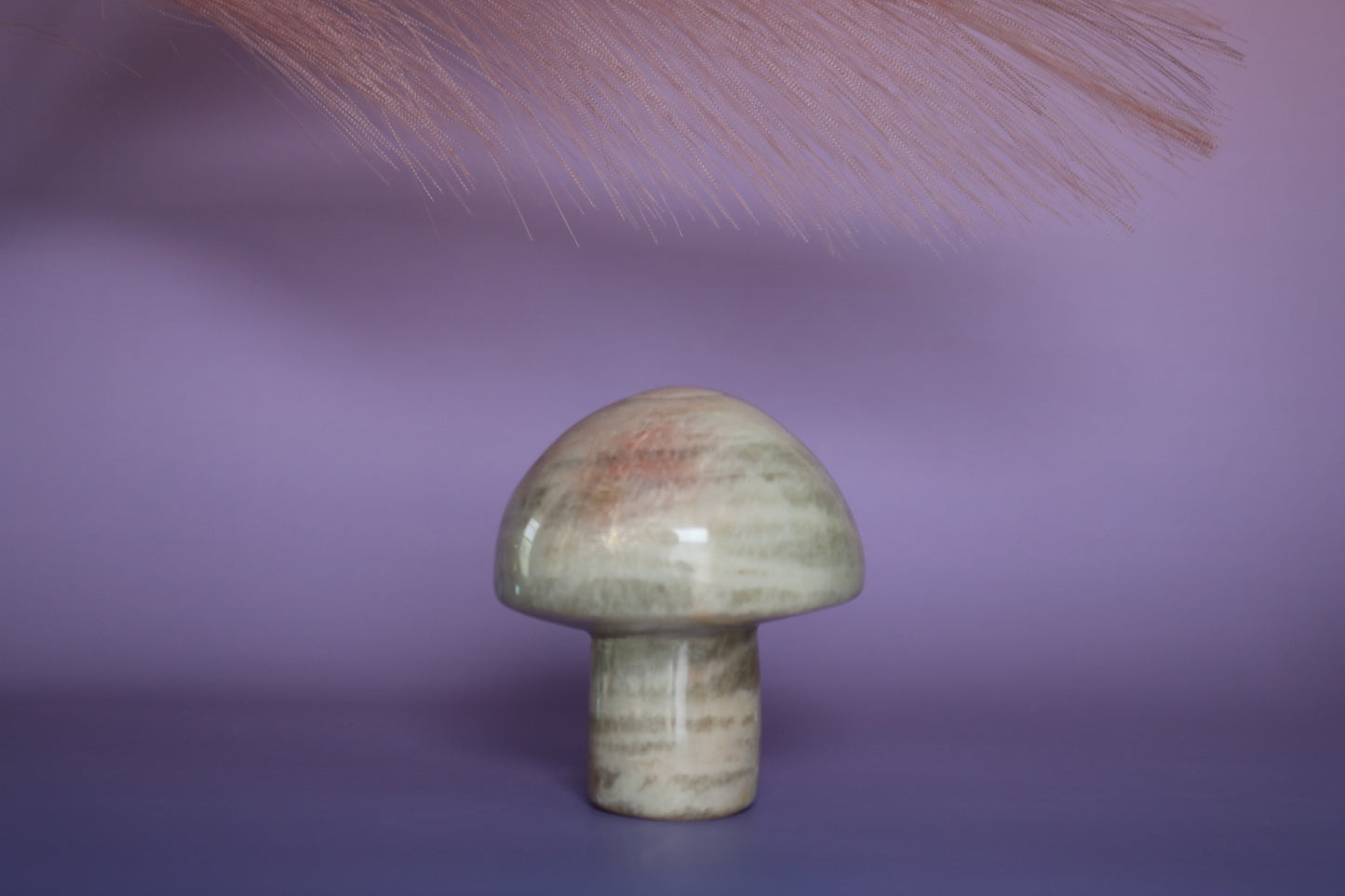 BANDED CALCITE MUSHROOM