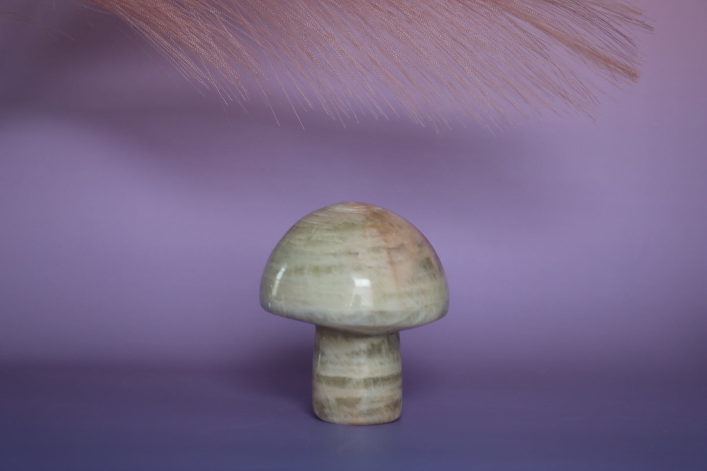BANDED CALCITE MUSHROOM