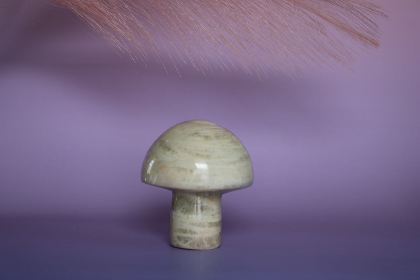 BANDED CALCITE MUSHROOM