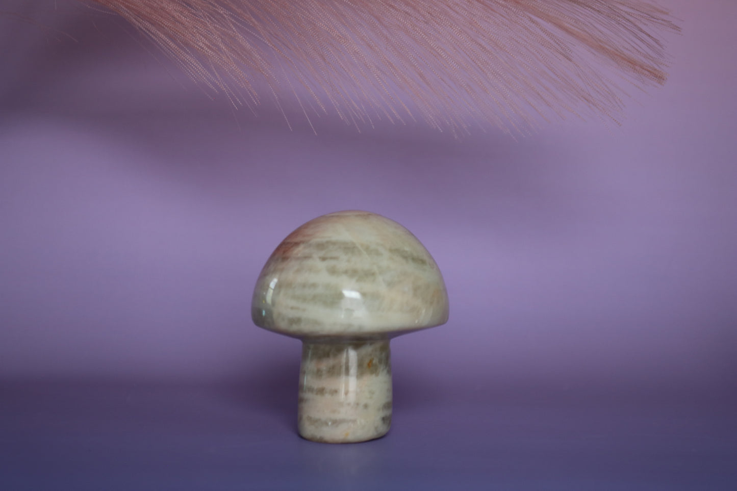 BANDED CALCITE MUSHROOM