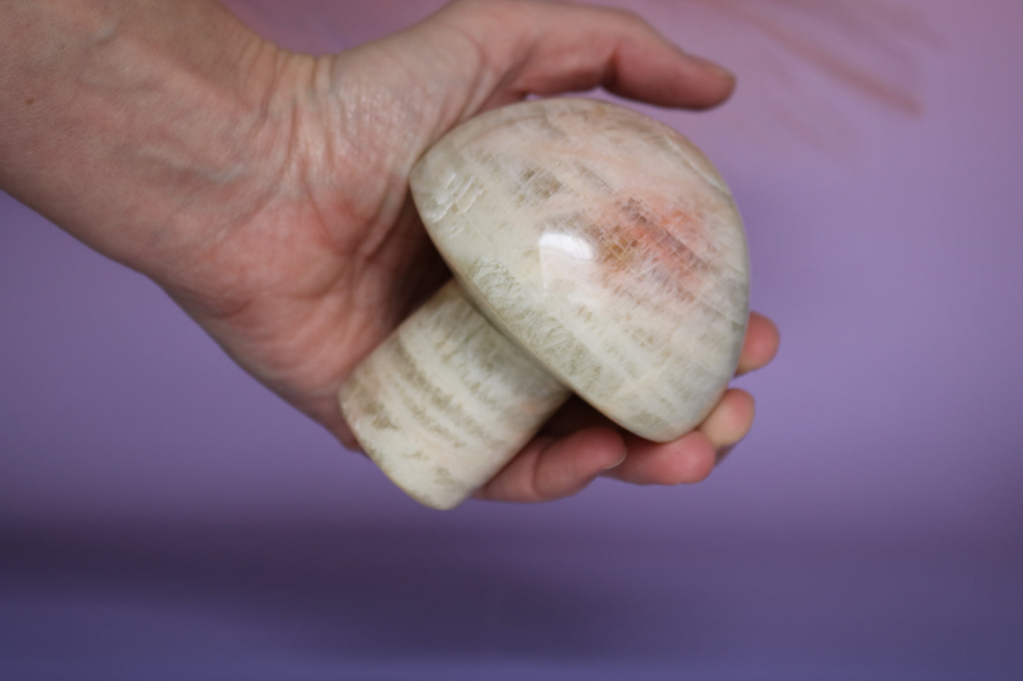 BANDED CALCITE MUSHROOM