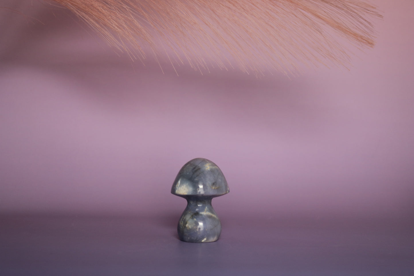 Indonesian Amethyst, purple chalcedony, opalized amethyst mushroom