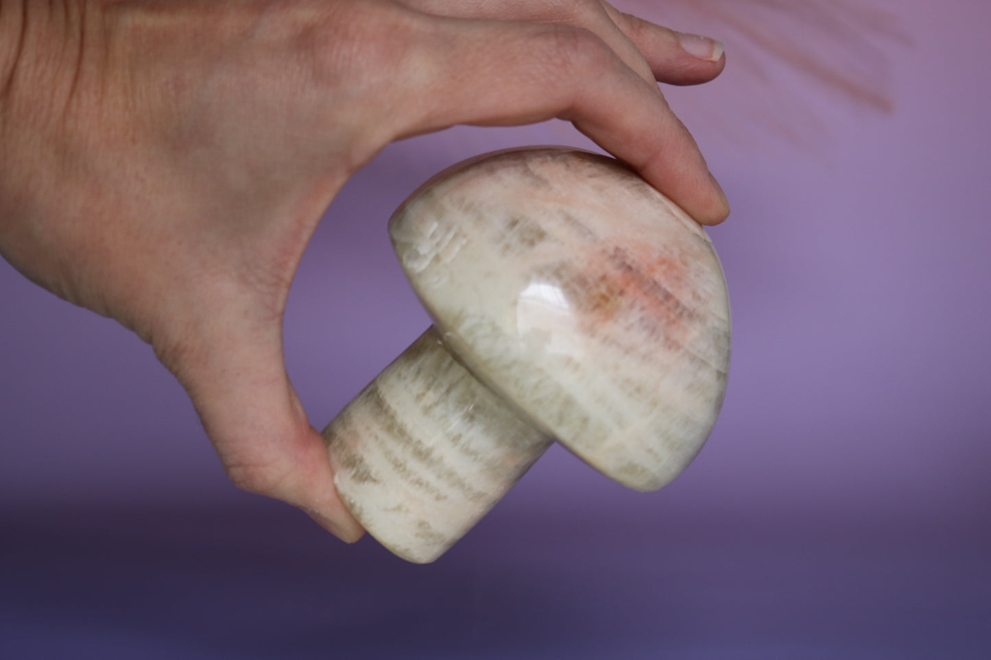 BANDED CALCITE MUSHROOM