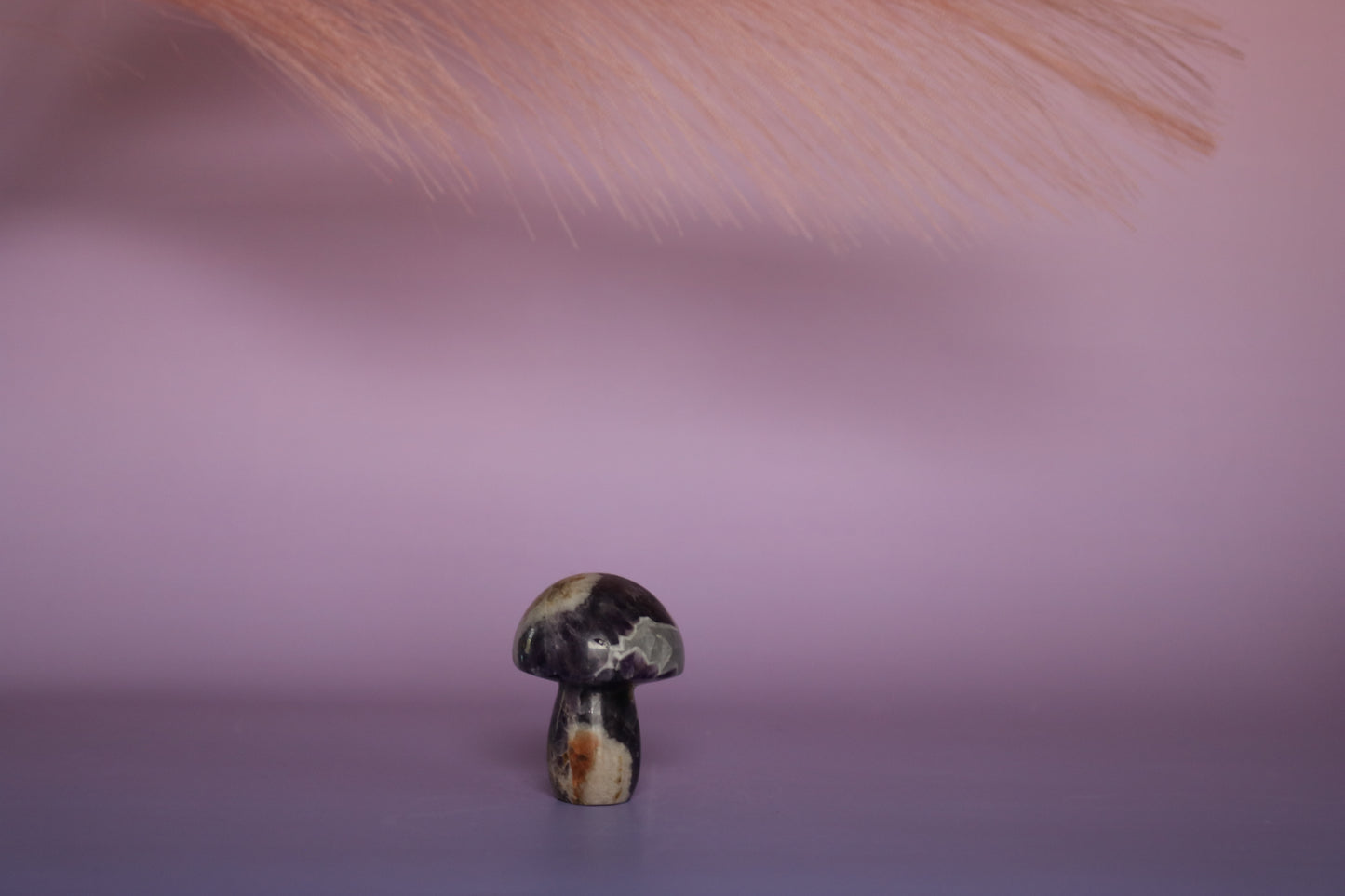 CHEVRON AMETHYST MUSHROOM