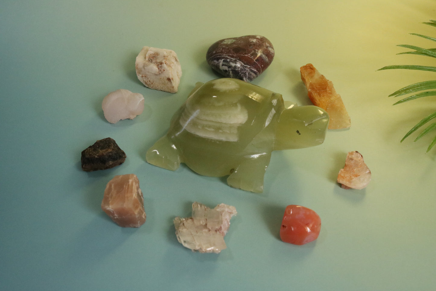 DESERT TREASURES