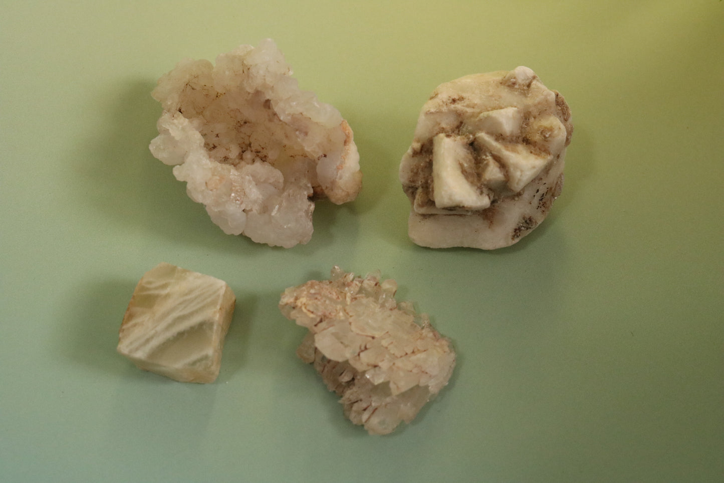 DESERT TREASURES