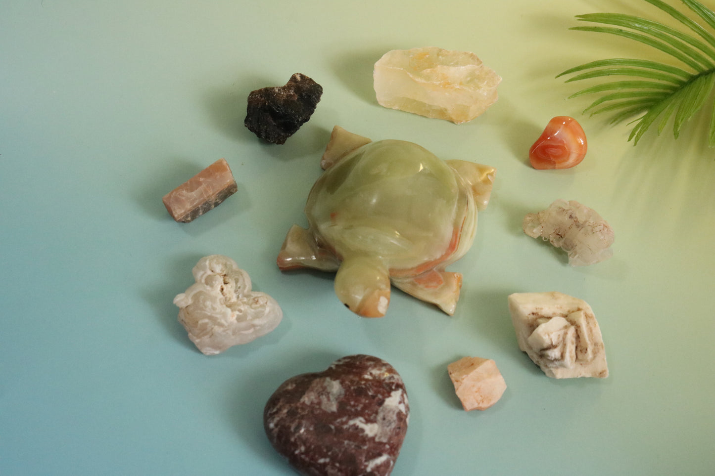 DESERT TREASURES