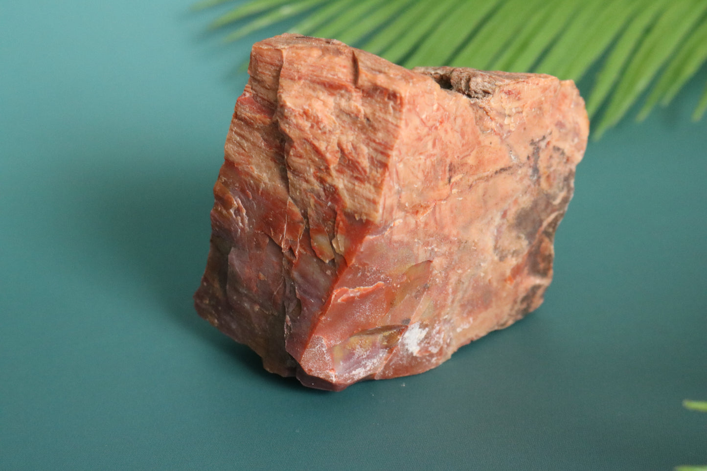 Petrified Wood