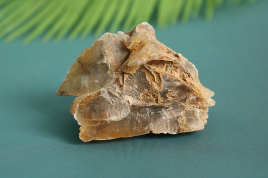 Selenite, natural from Mexico
