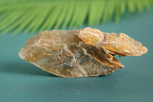 Selenite, natural from Mexico 2