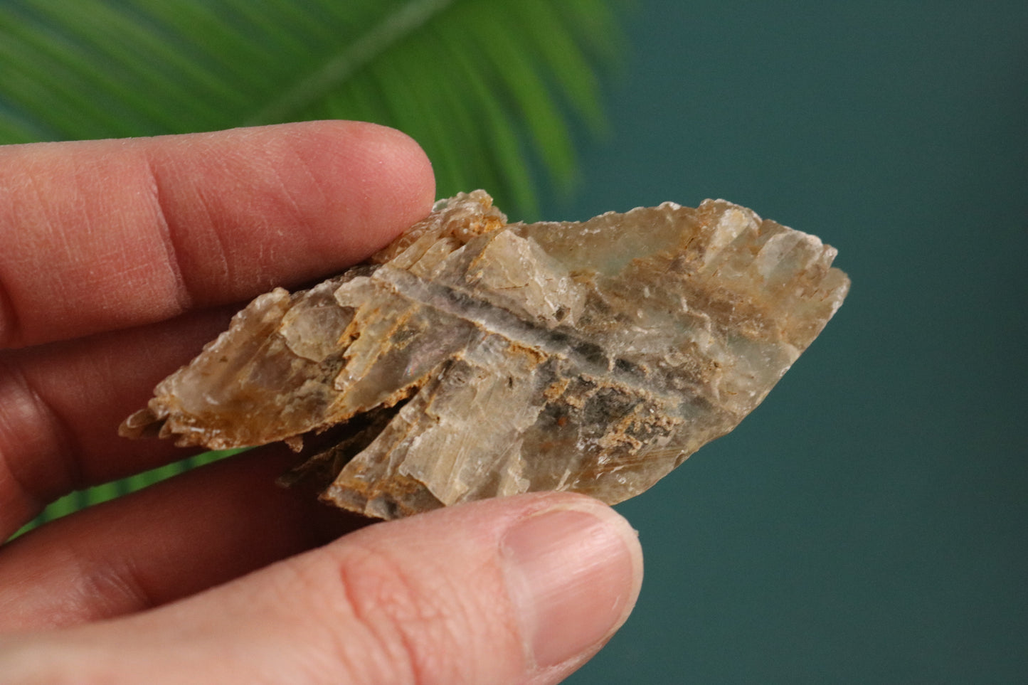 Selenite, natural from Mexico 2