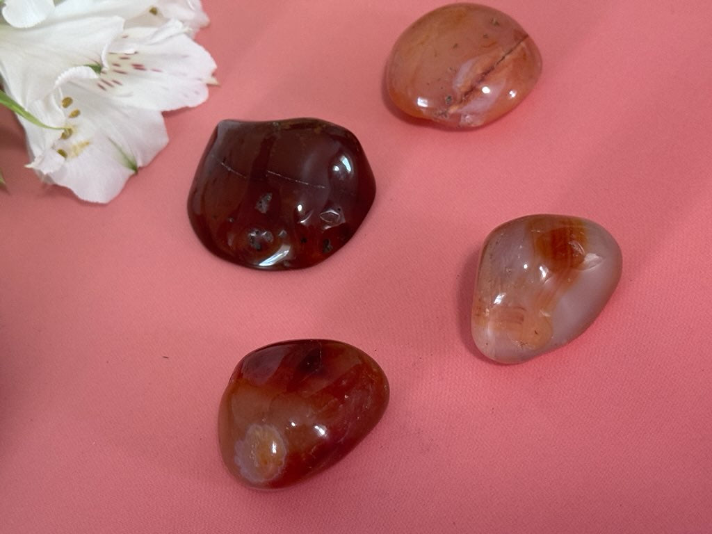 Carnelian Agate pebbles, Lake Superior