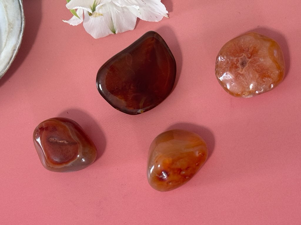 Carnelian Agate pebbles, Lake Superior