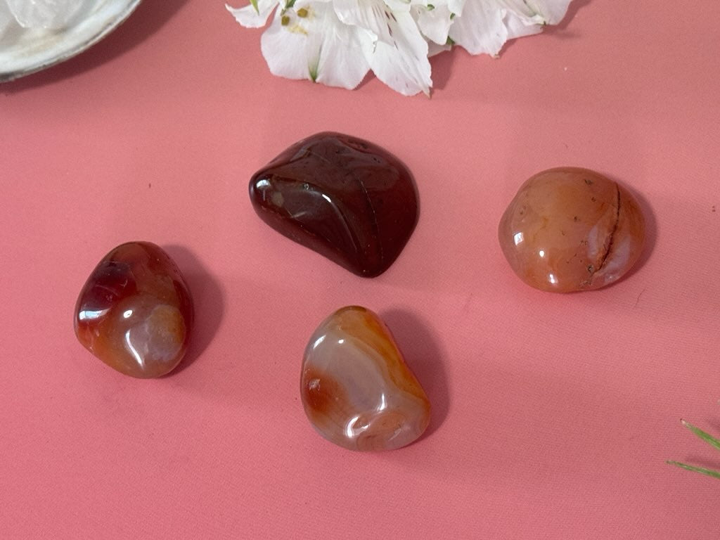 Carnelian Agate pebbles, Lake Superior