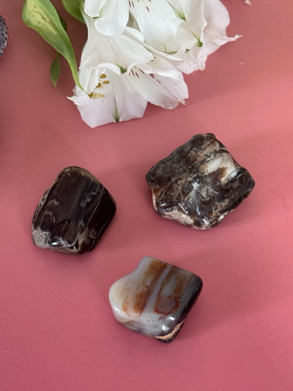 Petrified Wood, tumbled