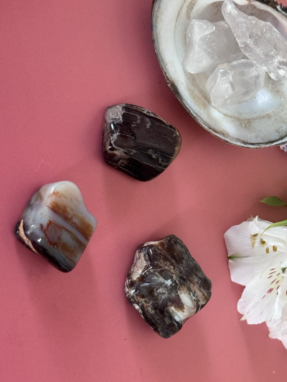 Petrified Wood, tumbled