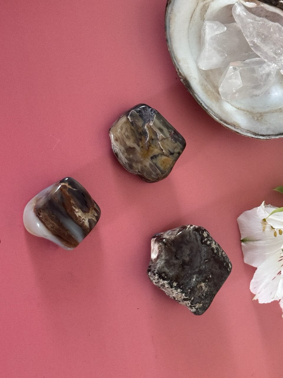 Petrified Wood, tumbled