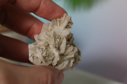 Selenite Rose, white selenite, dessert rose selenite