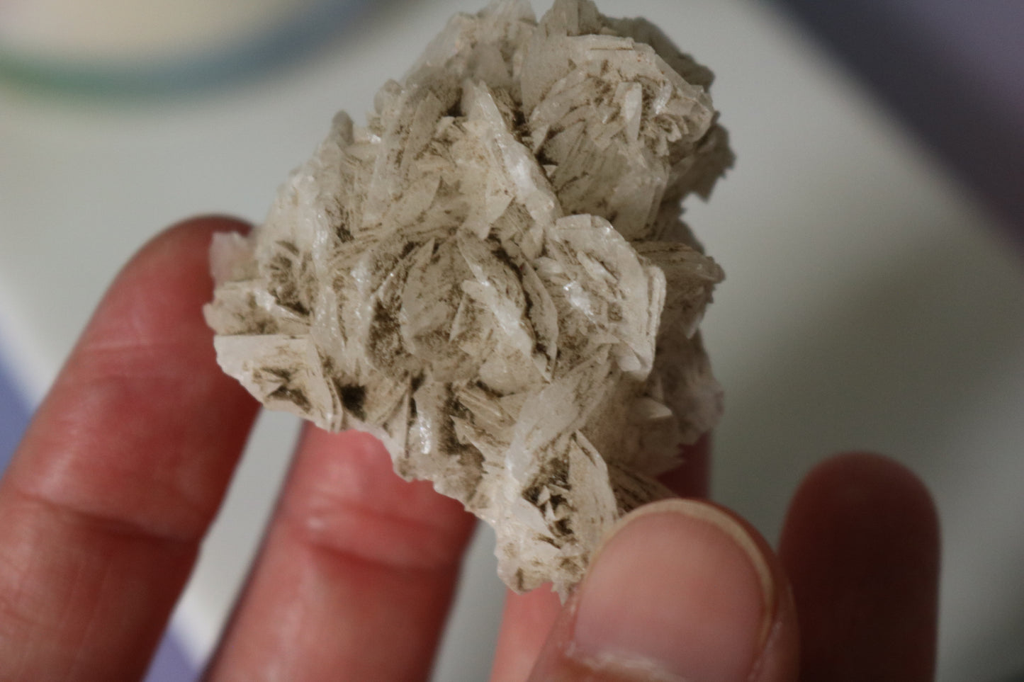 Selenite Rose, white selenite, dessert rose selenite