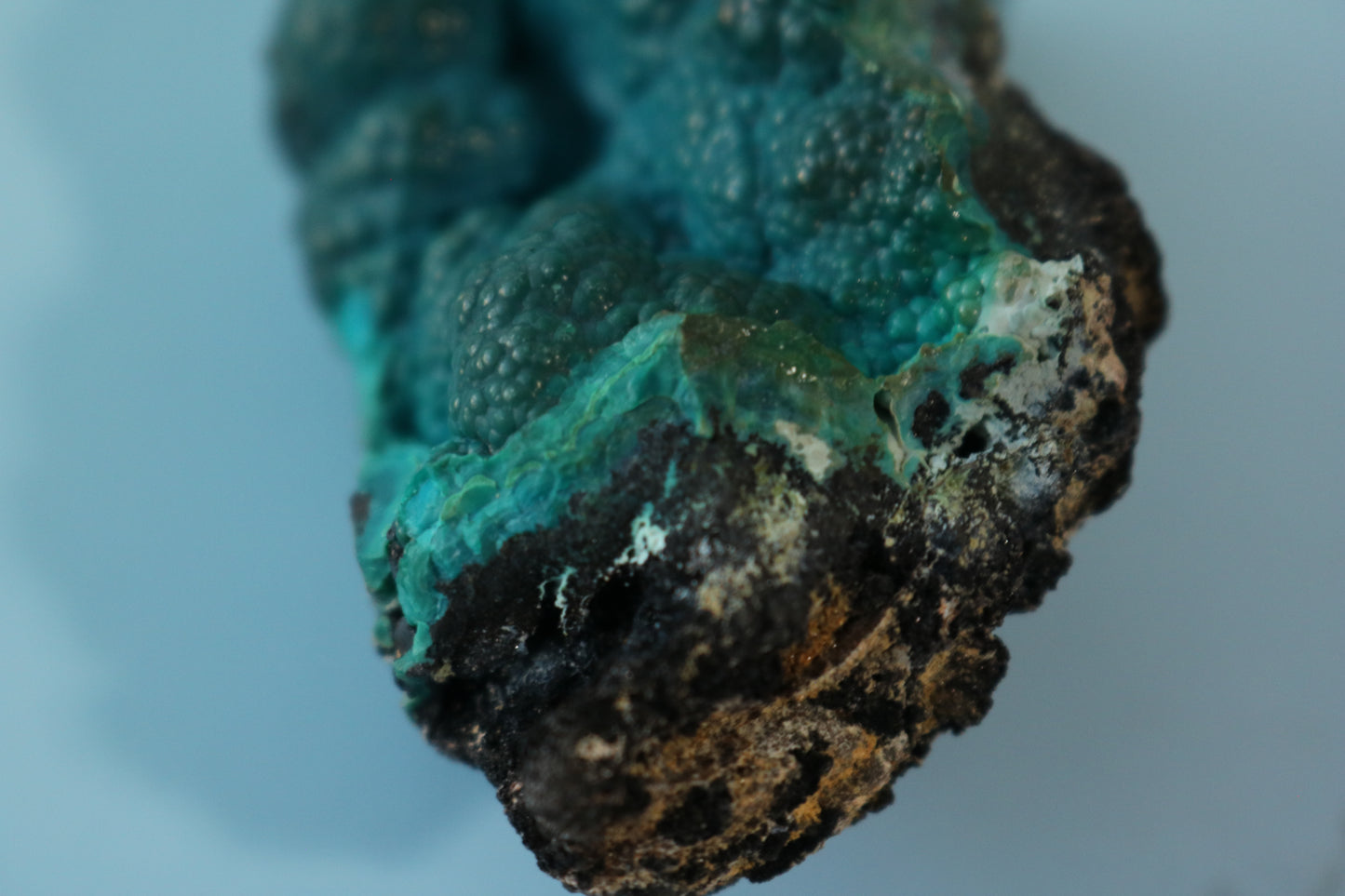 Chrysocolla Botryoidal with Malachite, cluster
