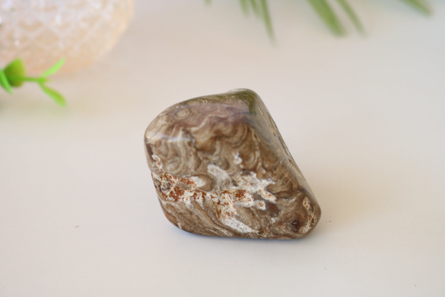 STROMATOLITE POLISHED PALM STONE