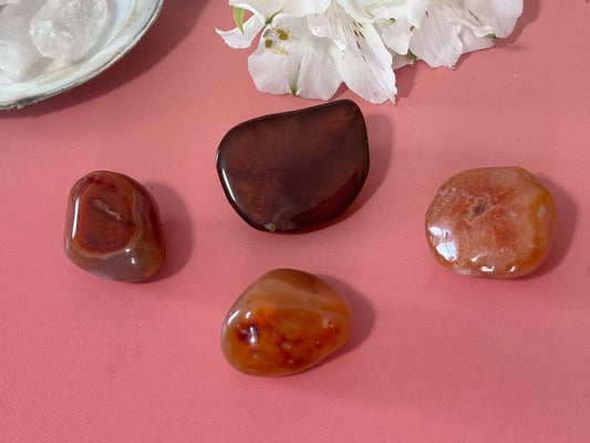 Carnelian Agate pebbles, Lake Superior