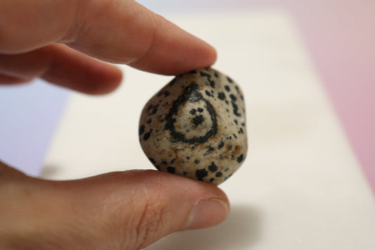 PARTY GHOST DALMATION JASPER PEBBLE