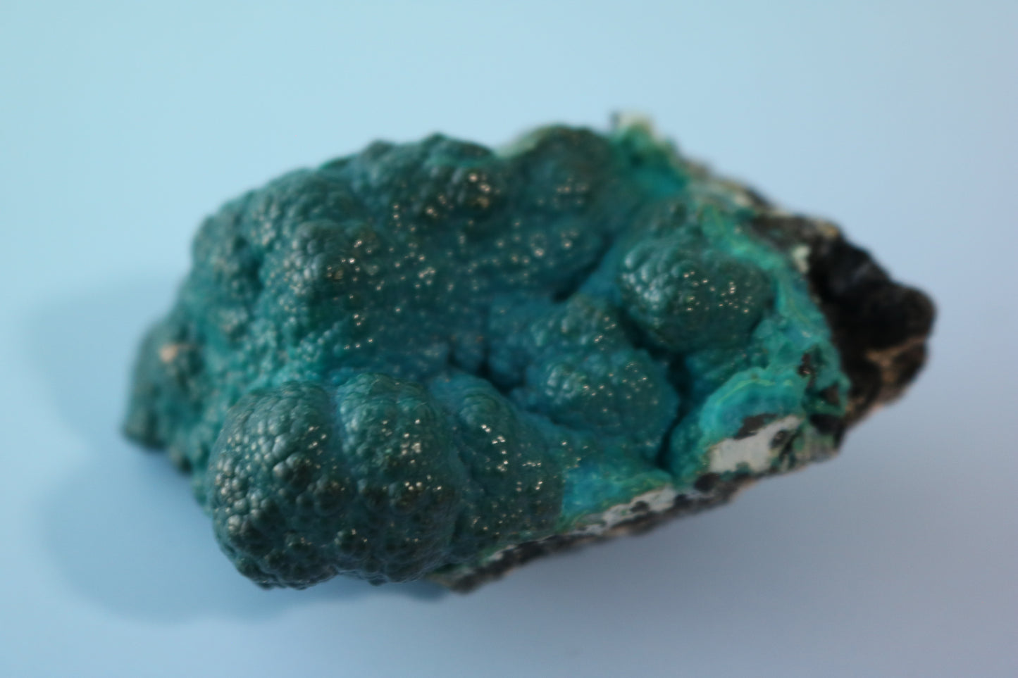 Chrysocolla Botryoidal with Malachite, cluster