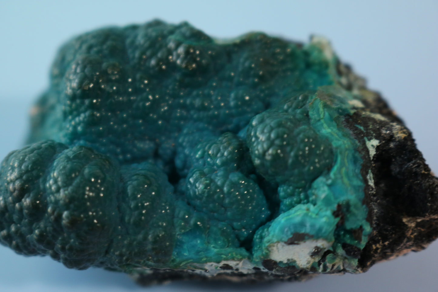 Chrysocolla Botryoidal with Malachite, cluster