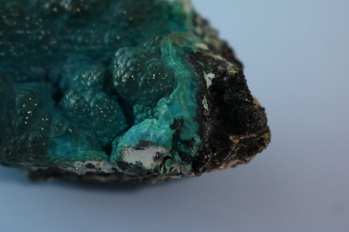 Chrysocolla Botryoidal with Malachite, cluster