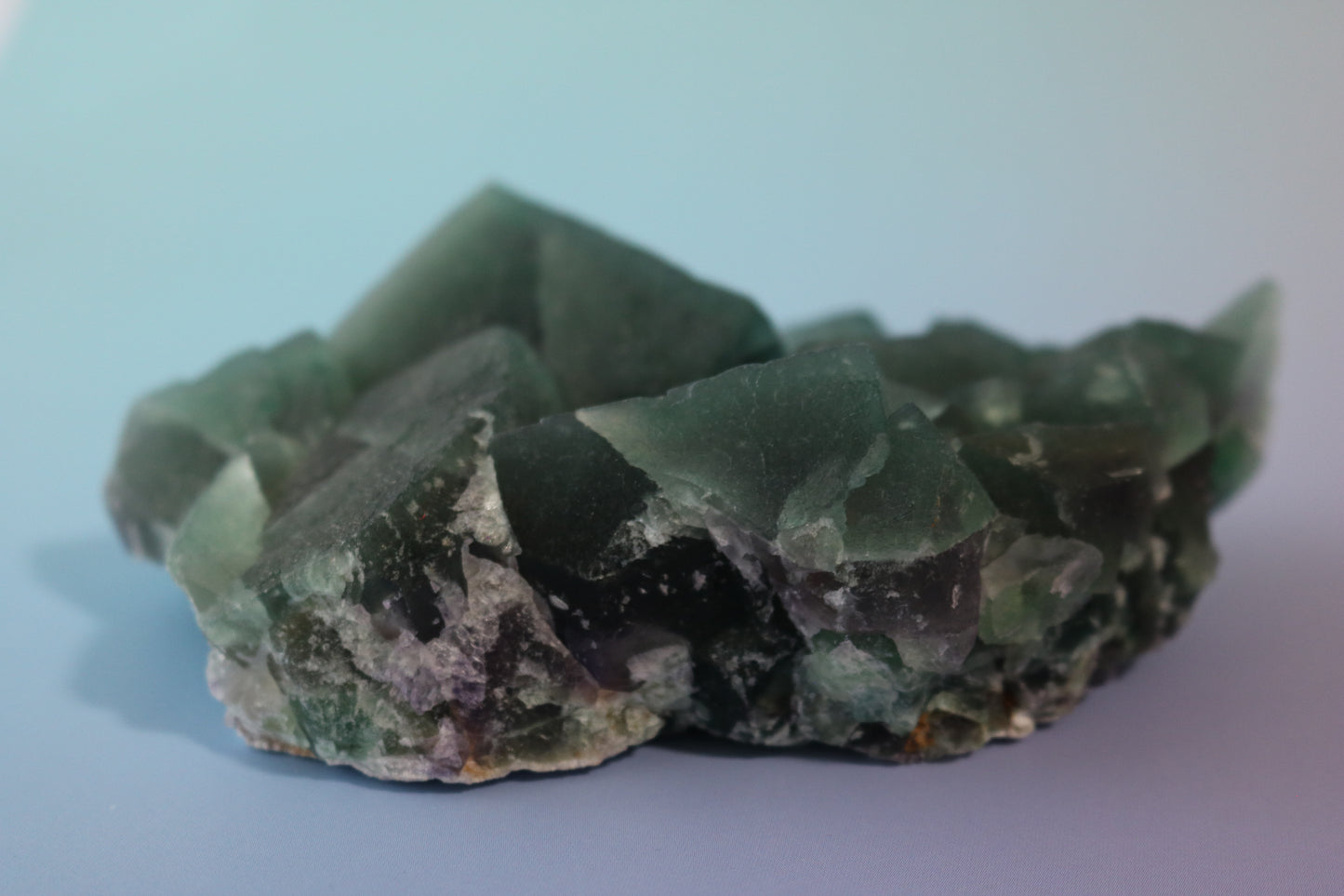 Green Cubic Fluorite, large cluster, purple fluorite banding