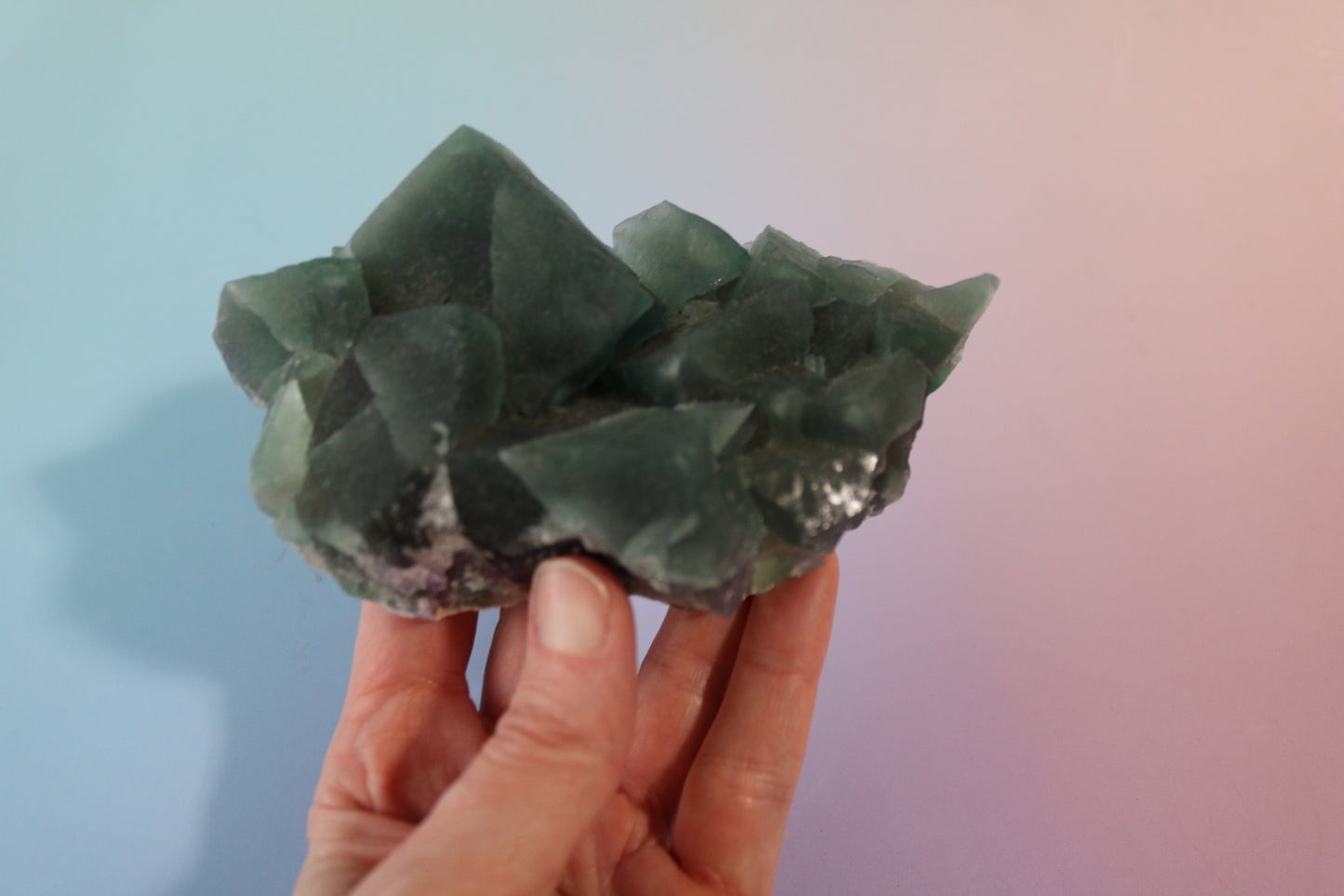 Green Cubic Fluorite, large cluster, purple fluorite banding