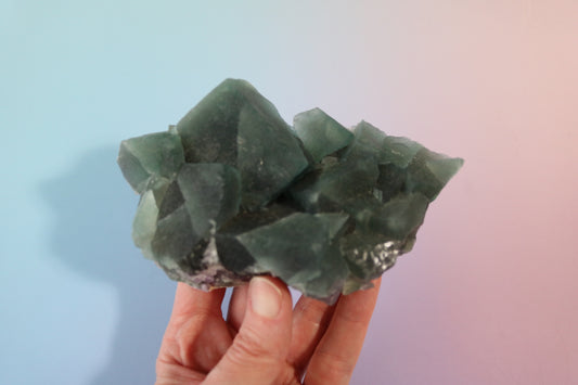 Green Cubic Fluorite, large cluster, purple fluorite banding