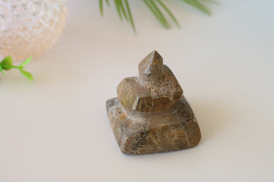 FOSSILIZED CORAL, POOP EMOJI CARVING CRYSTAL