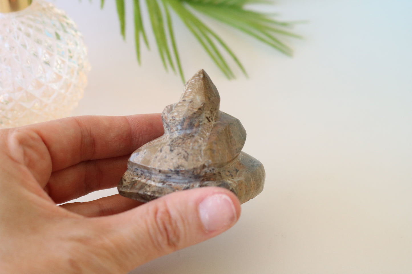 FOSSILIZED CORAL, POOP EMOJI CARVING CRYSTAL