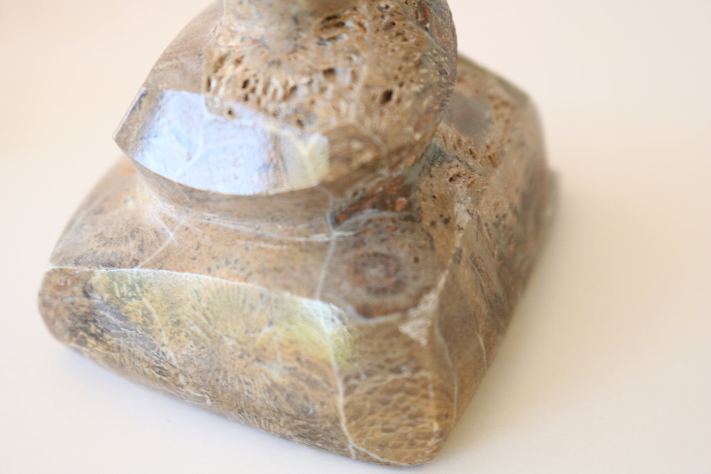 FOSSILIZED CORAL, POOP EMOJI CARVING CRYSTAL