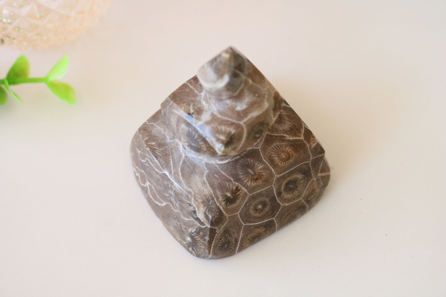 FOSSILIZED CORAL, POOP EMOJI CARVING CRYSTAL XL