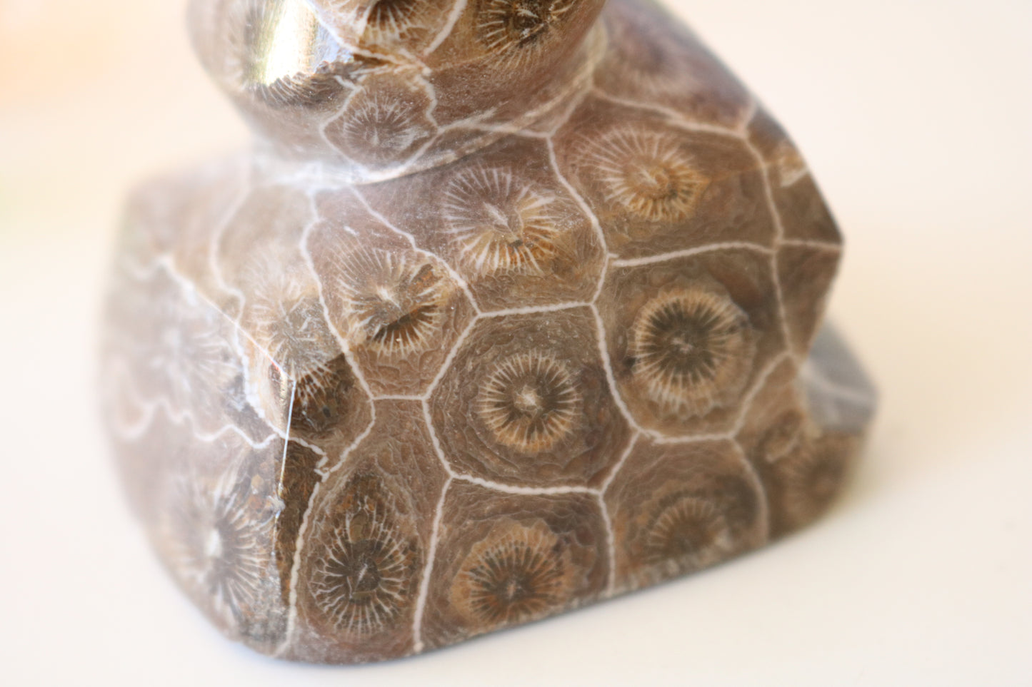 FOSSILIZED CORAL, POOP EMOJI CARVING CRYSTAL XL