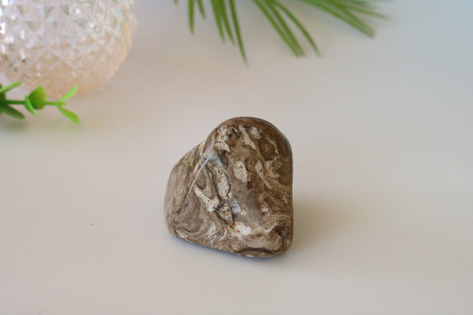 STROMATOLITE POLISHED PALM STONE