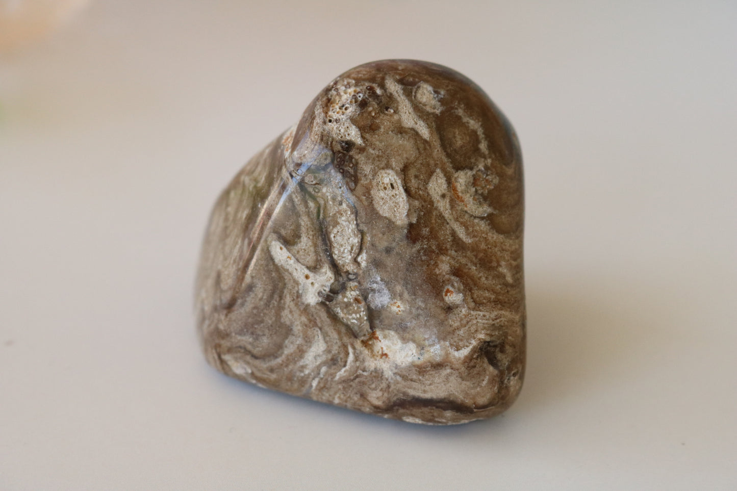 STROMATOLITE POLISHED PALM STONE
