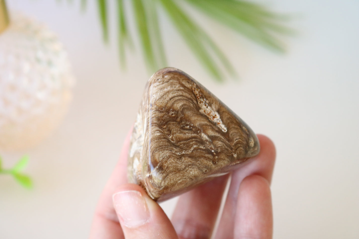 STROMATOLITE POLISHED PALM STONE