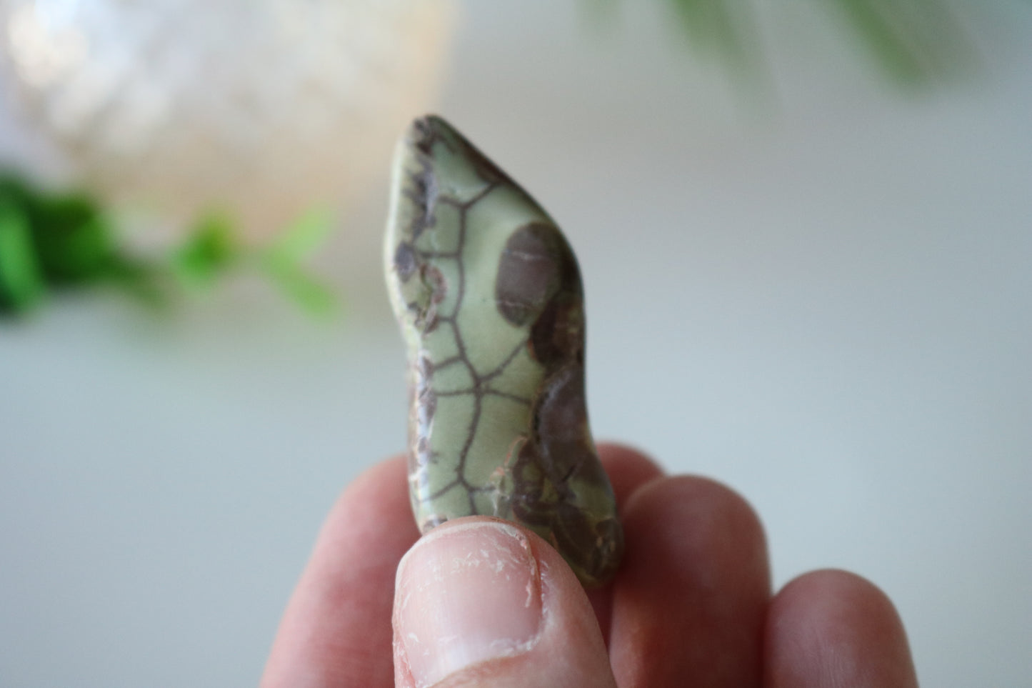 SNAKESKIN AGATE PEBBLE 2