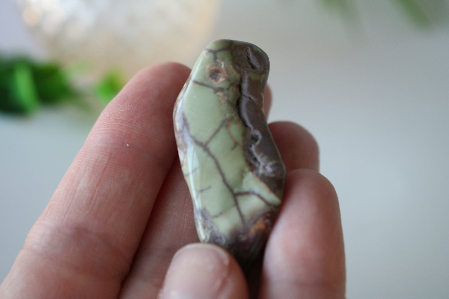SNAKESKIN AGATE PEBBLE 2