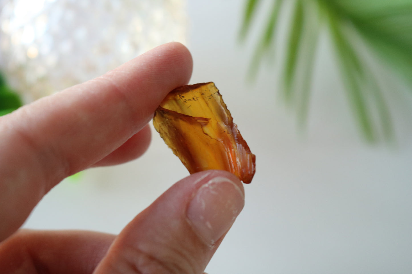 AMBER PIECES