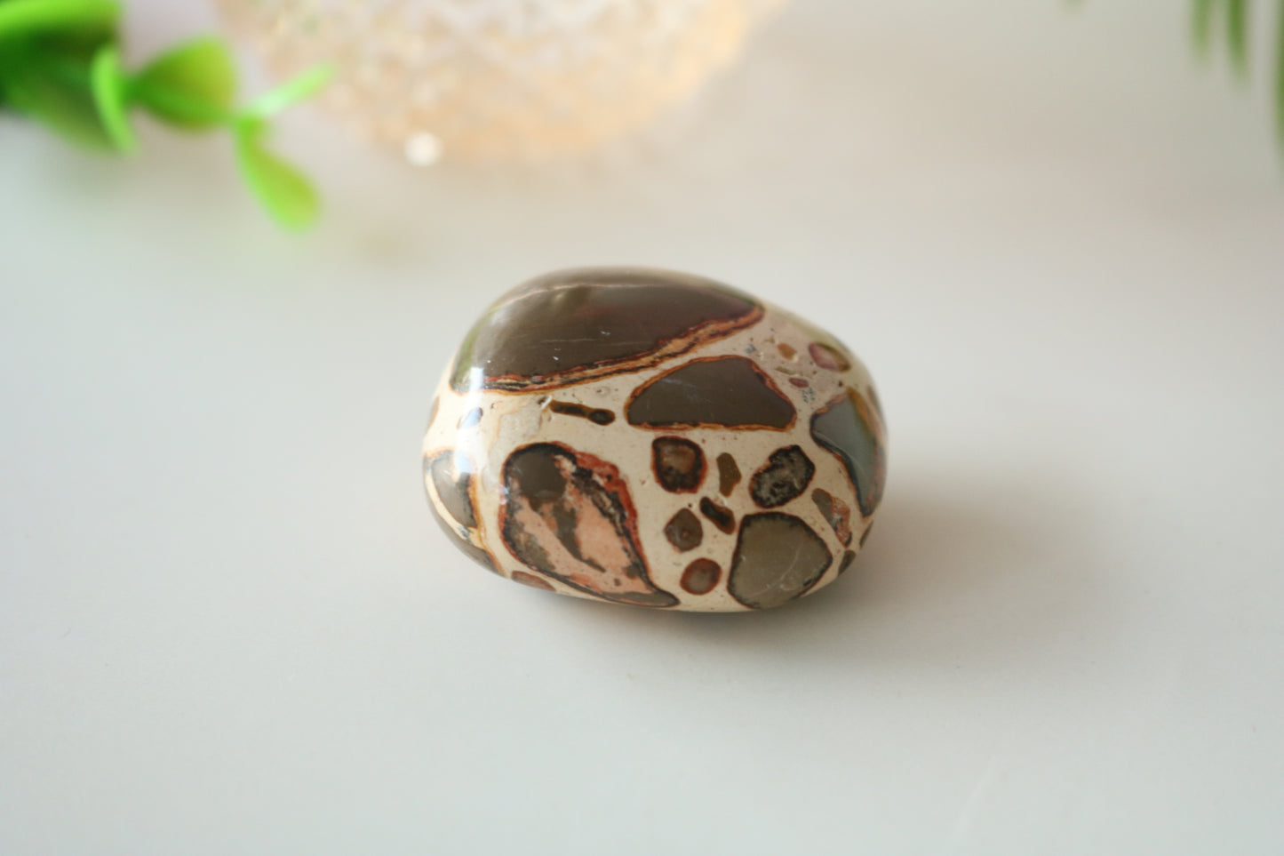 LEOPARDSKIN JASPER PALM STONE