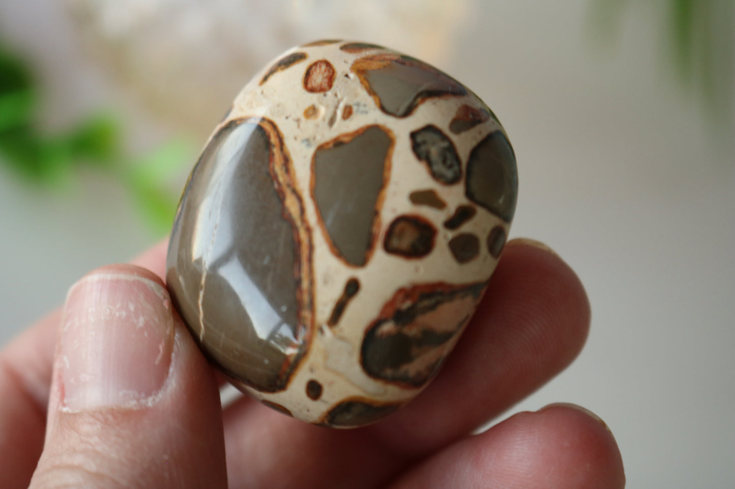 LEOPARDSKIN JASPER PALM STONE