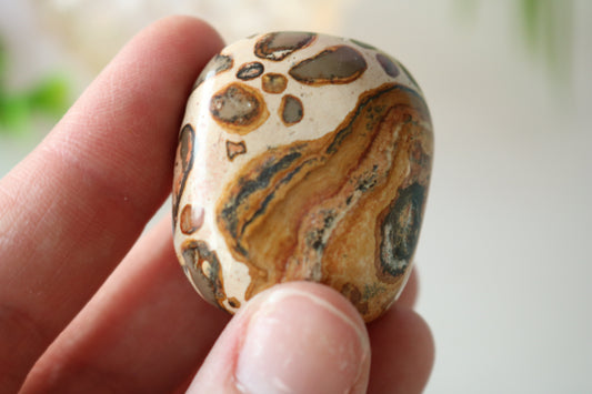 LEOPARDSKIN JASPER PALM STONE