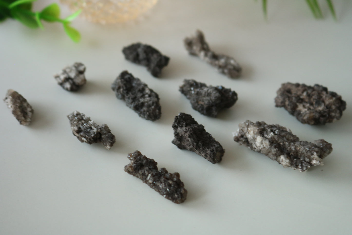 SMOKY QUARTZ ON DINOSAUR BONE